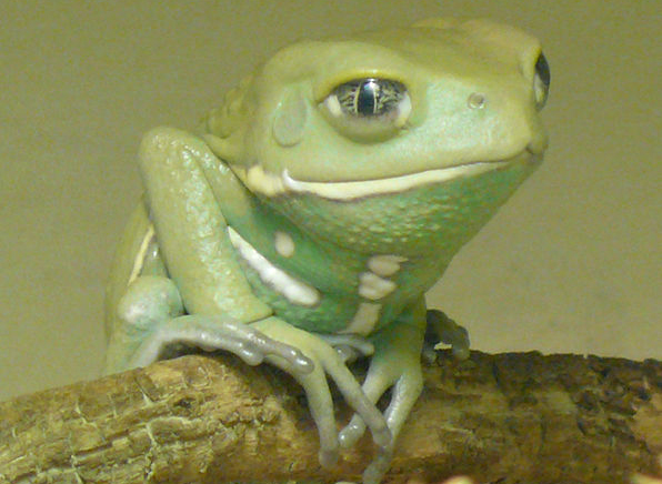 Katta yoshdagilar bilan jinsiy aloqa qilish uchun tanishish Porno kattalar onasi va qizi